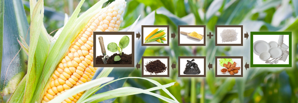 有人問我到底什么是全生物降解材料？