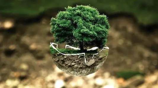 生物降解材料：關注度飆升