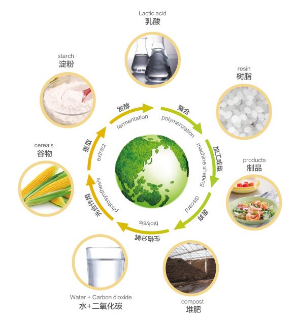 科學認識可降解塑料