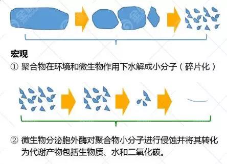 生物降解塑料PLA的降解機理