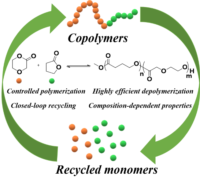四川大學王玉忠院士團隊：可閉環化學循環生物降解共聚物的可控合成