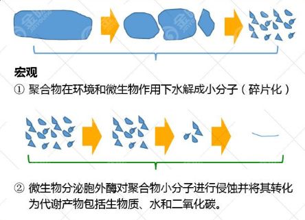 PLA是如何做到可降解的？