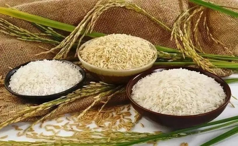 “生物基”“生物降解”分不清？名字相似，其實大不相同