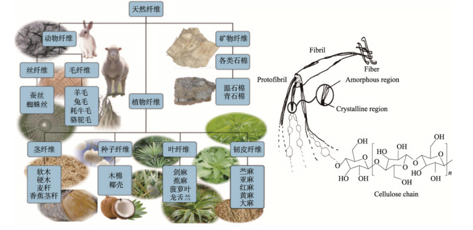 聚乳酸及天然纖維素特點