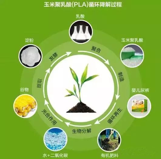 連PLA材質都禁止？看看臺灣的禁塑措施